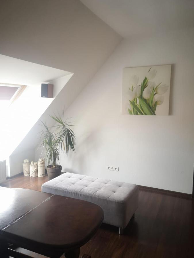 Apartamenty Lena 16 Twoje Poddasze Рацибуж Экстерьер фото
